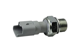 Basınç Regülatörü/Anahtarı